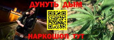 jwh Кингисепп