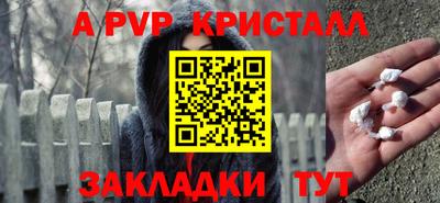 jwh Кингисепп