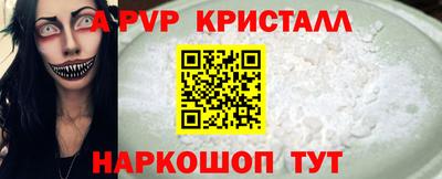 шишки Камышлов