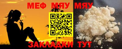 шишки Камышлов