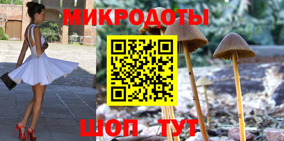 Псилоцибиновые грибы мицелий Буйнакск